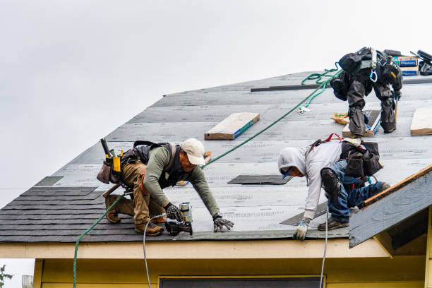 Professional Storm Damage Roof Repair technician working in Tabiona, UT